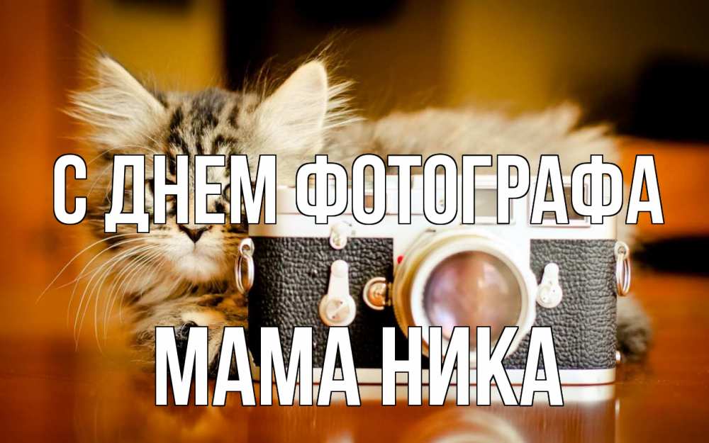 Открытка на каждый день с именем, Мама-Ника С днем фотографа с днем фотографа Прикольная открытка с пожеланием онлайн скачать бесплатно 
