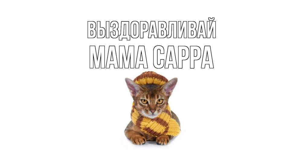Открытка на каждый день с именем, Мама-Сарра Выздоравливай родные не болейте Прикольная открытка с пожеланием онлайн скачать бесплатно 