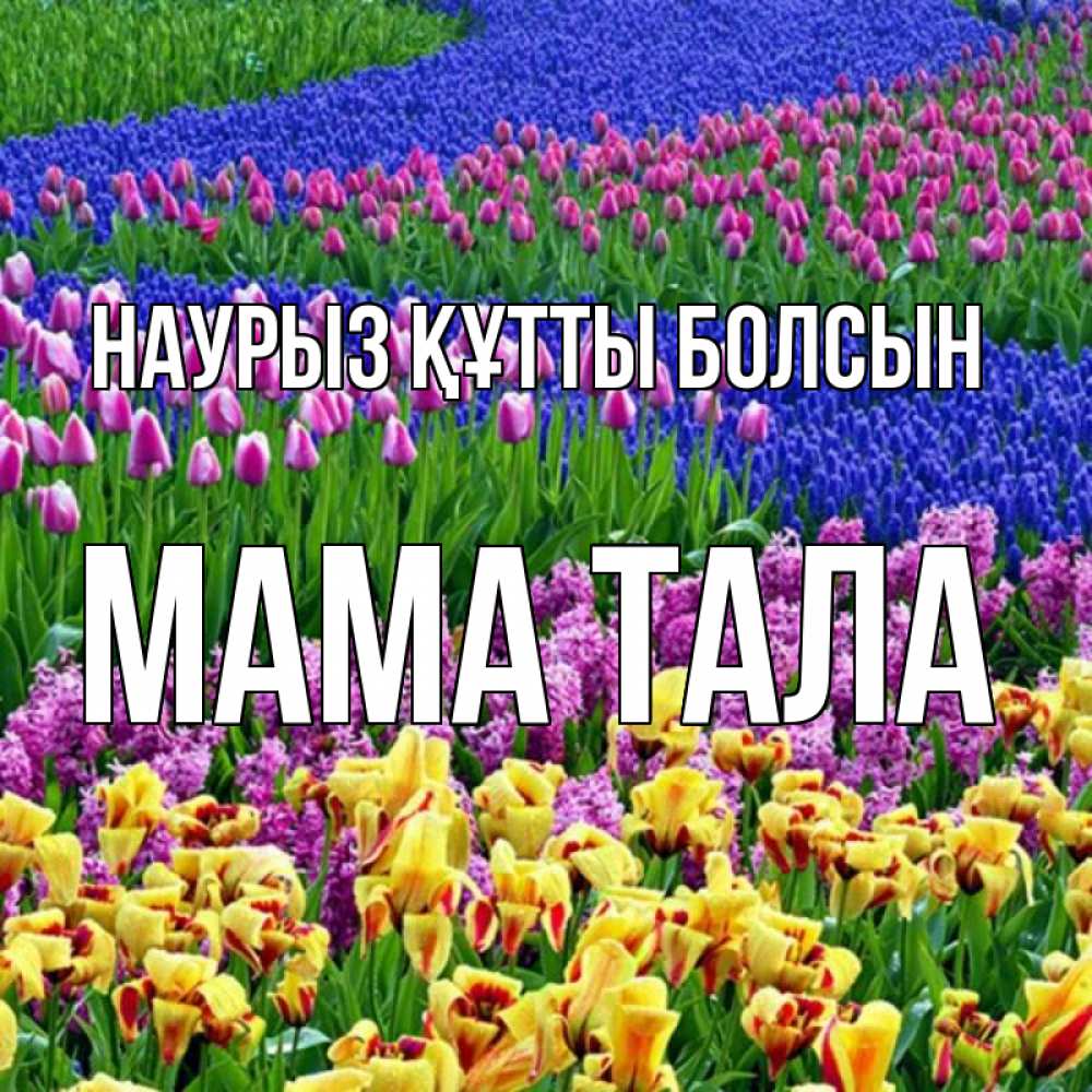 Открытка на каждый день с именем, Мама-Тала Наурыз құтты болсын цветы Прикольная открытка с пожеланием онлайн скачать бесплатно 