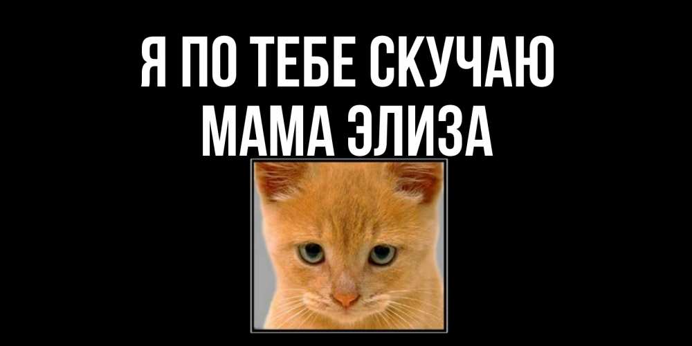 Открытка на каждый день с именем, Мама-Элиза Я по тебе скучаю открытки рыжий котенок скучает по тебе Прикольная открытка с пожеланием онлайн скачать бесплатно 