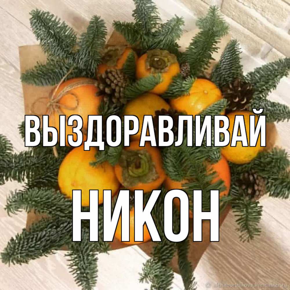 Открытка на каждый день с именем, Никон Выздоравливай апельсины и хурьма Прикольная открытка с пожеланием онлайн скачать бесплатно 