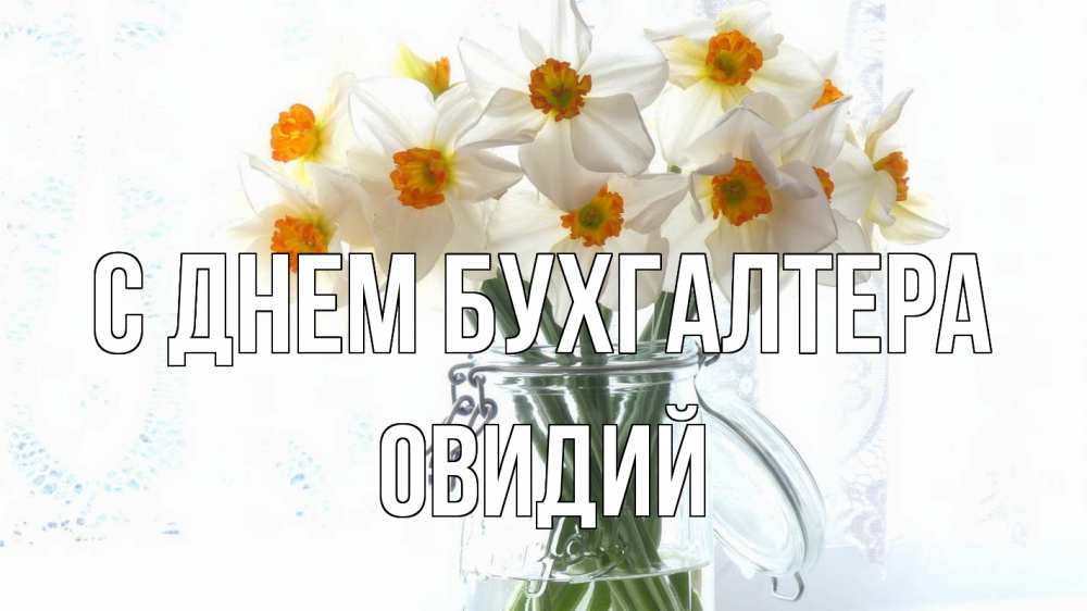 Открытка на каждый день с именем, Овидий С днем бухгалтера с днем бухгалтера Прикольная открытка с пожеланием онлайн скачать бесплатно 