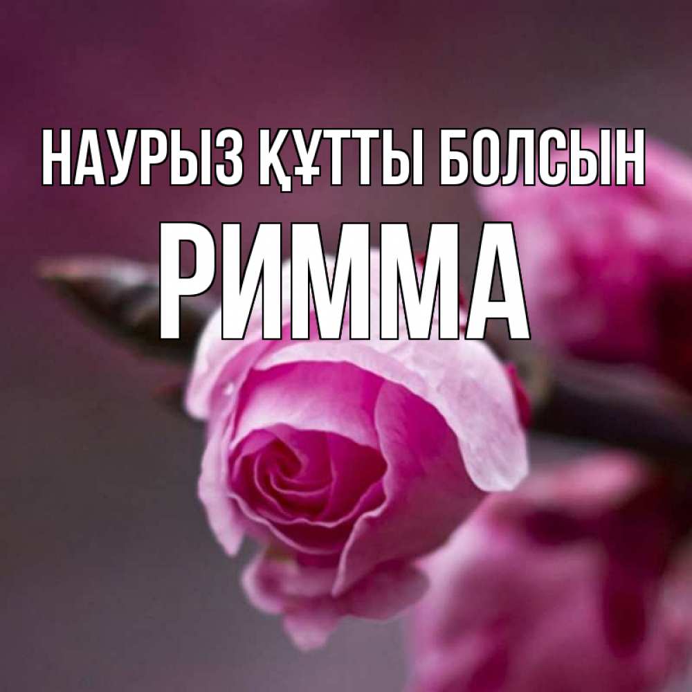 Открытка на каждый день с именем, Римма Наурыз құтты болсын весна Прикольная открытка с пожеланием онлайн скачать бесплатно 