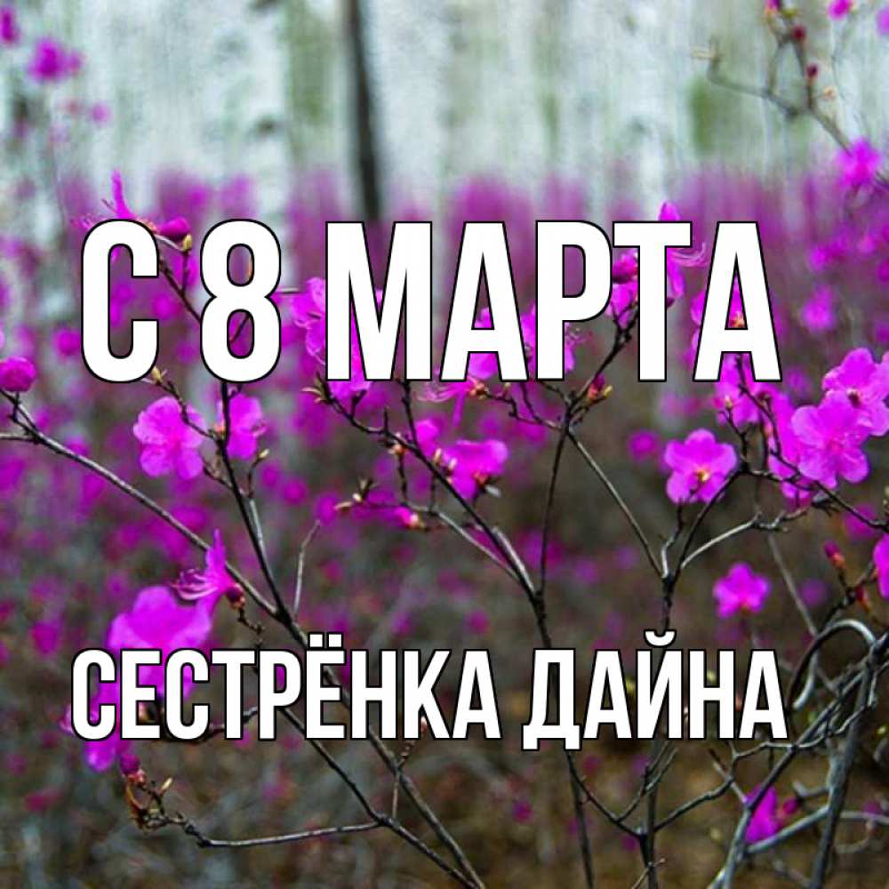 Открытка на каждый день с именем, Сестрёнка-Дайна С 8 МАРТА дикие цветы Прикольная открытка с пожеланием онлайн скачать бесплатно 