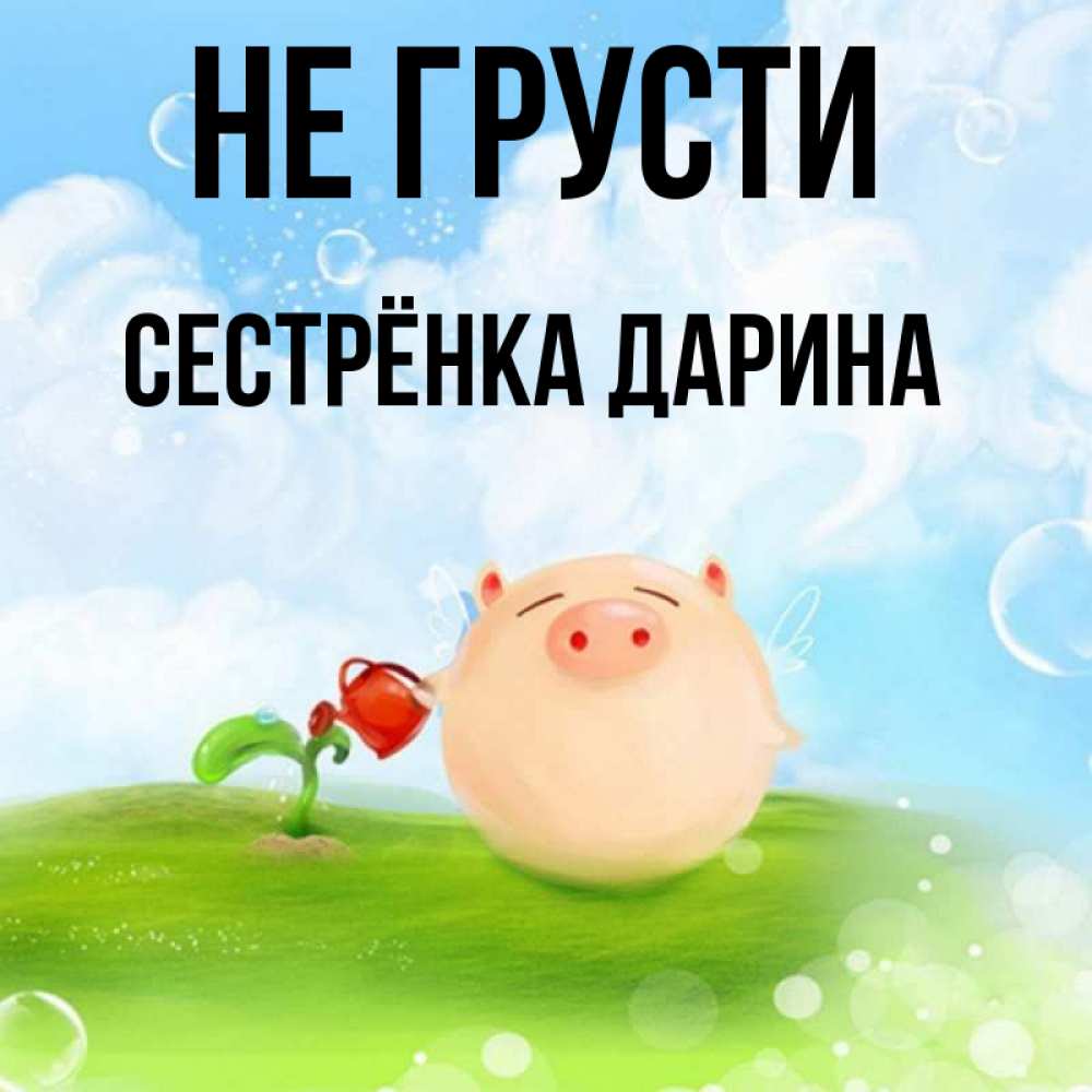 Открытка на каждый день с именем, Сестрёнка-Дарина Не грусти поливает цветок порося Прикольная открытка с пожеланием онлайн скачать бесплатно 
