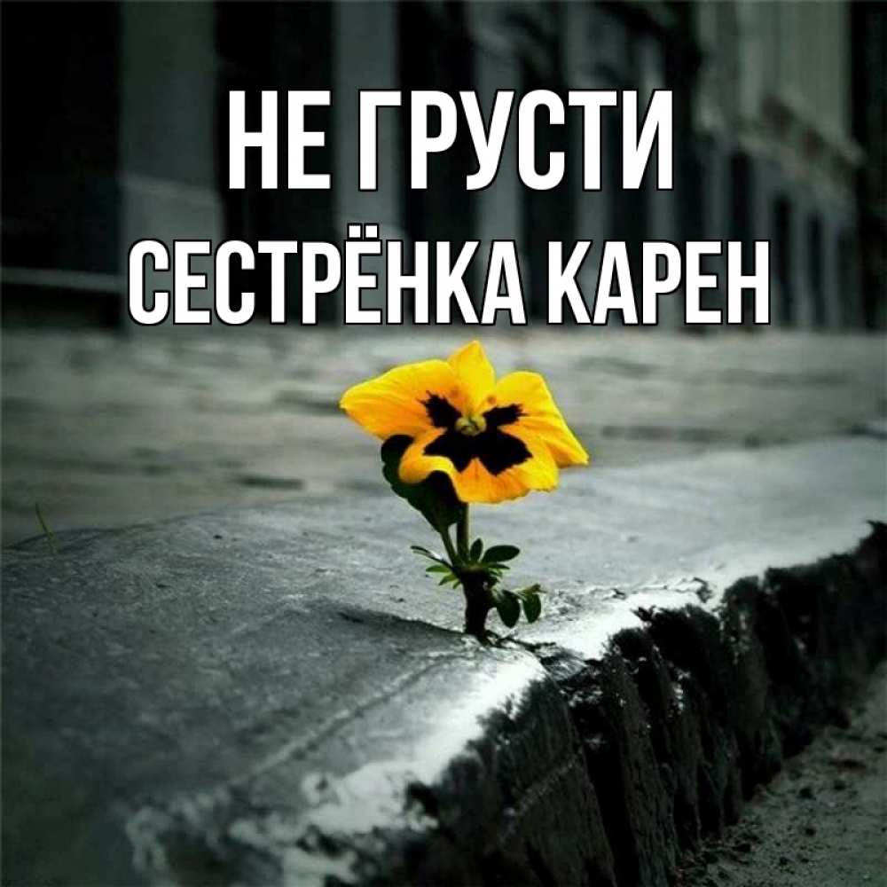Открытка на каждый день с именем, Сестрёнка-Карен Не грусти не сдавайся Прикольная открытка с пожеланием онлайн скачать бесплатно 