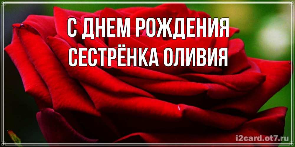 Открытка на каждый день с именем, Сестрёнка-Оливия С днем рождения розочка очень красивая Прикольная открытка с пожеланием онлайн скачать бесплатно 