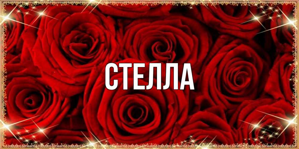 Открытка на каждый день с именем, Стелла Главная открытка для любимой Прикольная открытка с пожеланием онлайн скачать бесплатно 