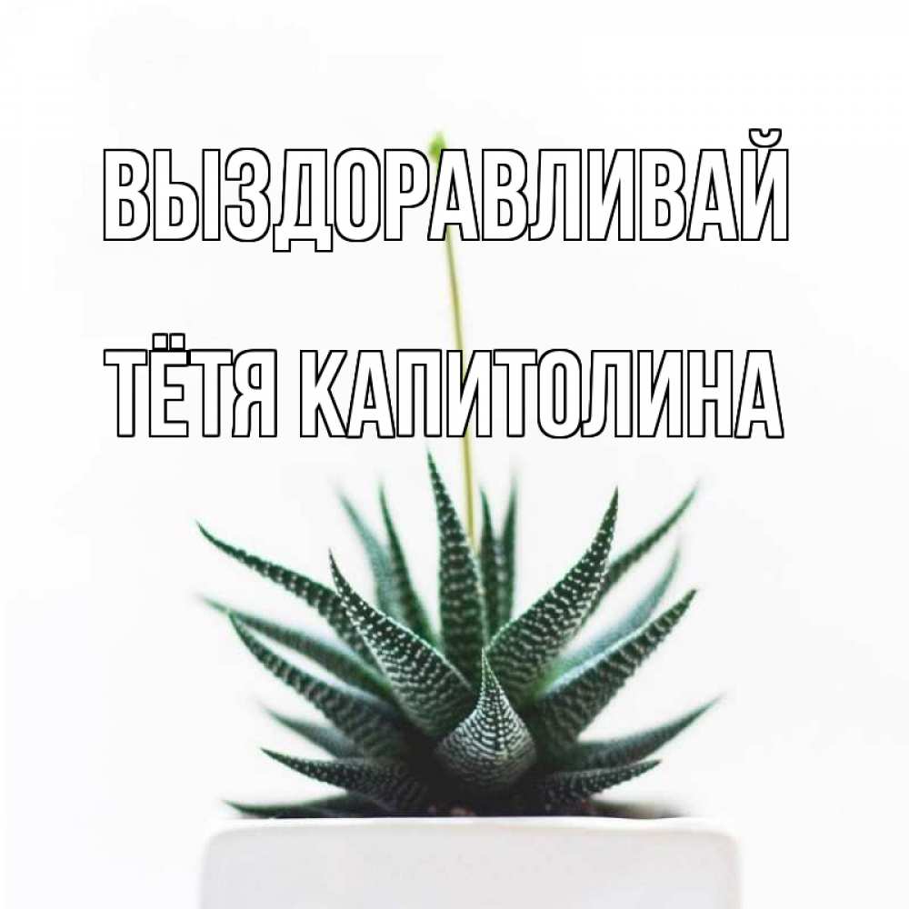 Открытка на каждый день с именем, Тётя-Капитолина Выздоравливай короче это непонятная колючка Прикольная открытка с пожеланием онлайн скачать бесплатно 