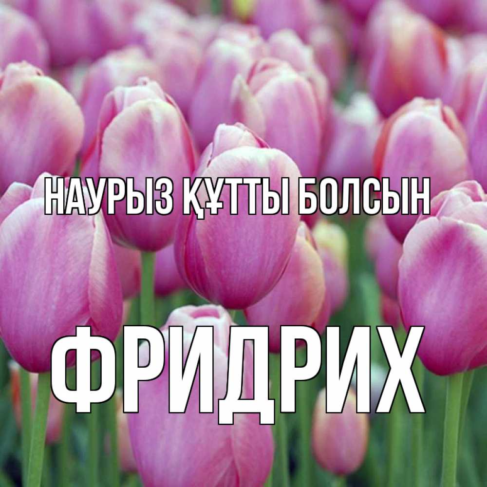 Открытка на каждый день с именем, Фридрих Наурыз құтты болсын на наурыз  день 3 Прикольная открытка с пожеланием онлайн скачать бесплатно 