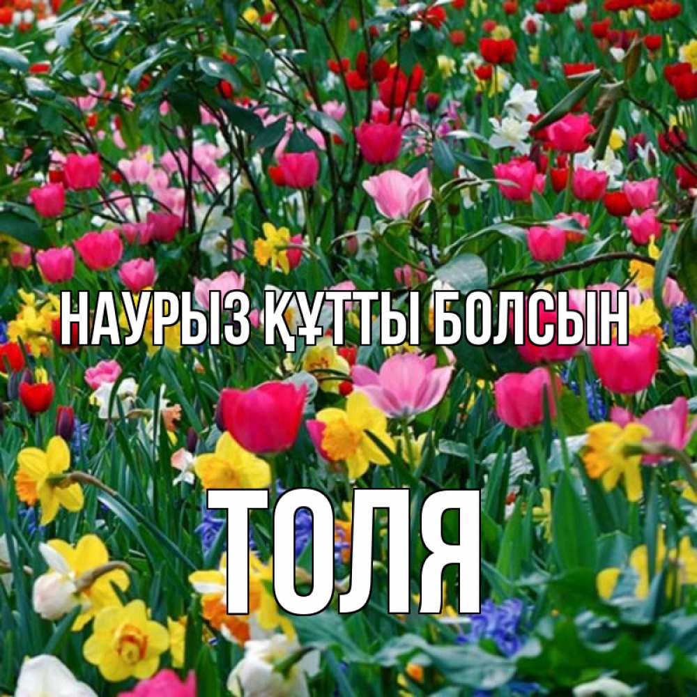 Открытка на каждый день с именем, Толя Наурыз құтты болсын с наурызом поздравления для женщины Прикольная открытка с пожеланием онлайн скачать бесплатно 
