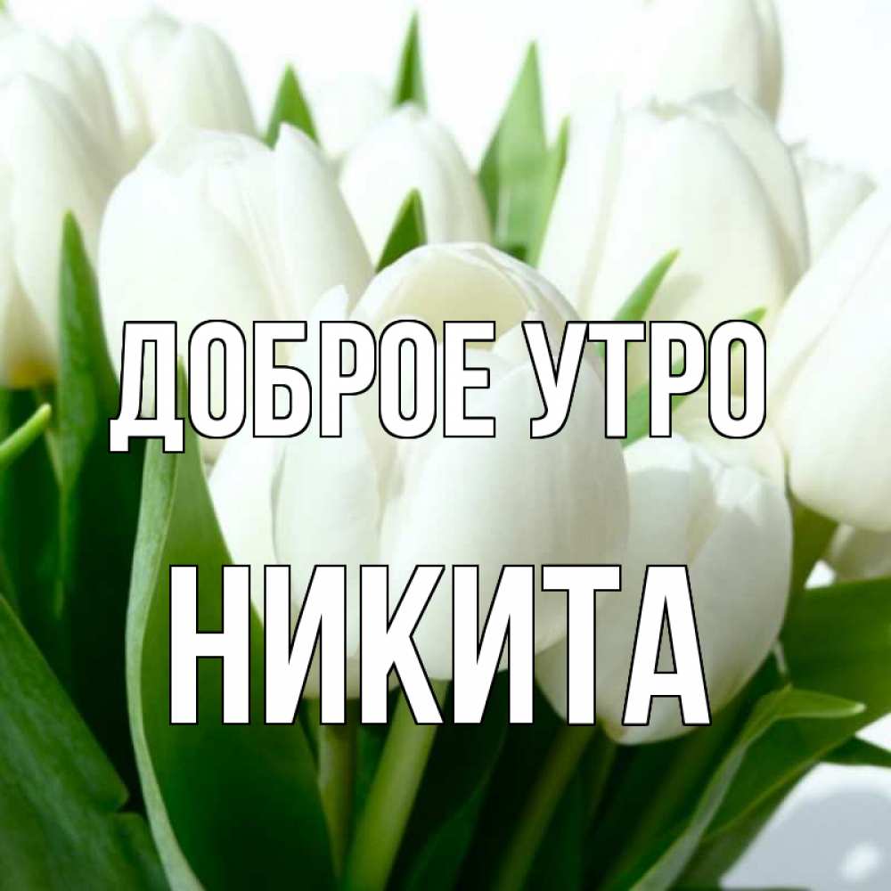 Доброе утро никита картинки