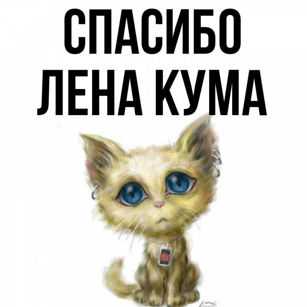 Спасибо кума картинки