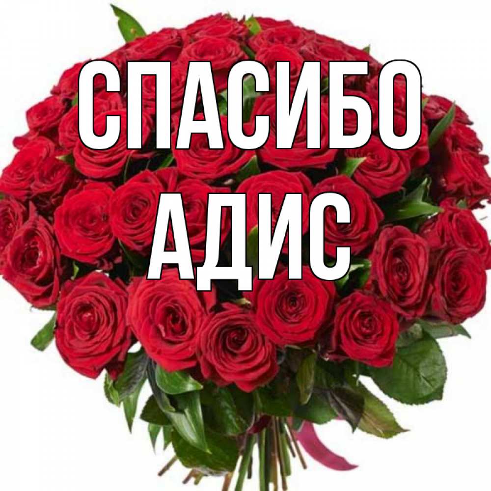 Картинки с подписью красотка