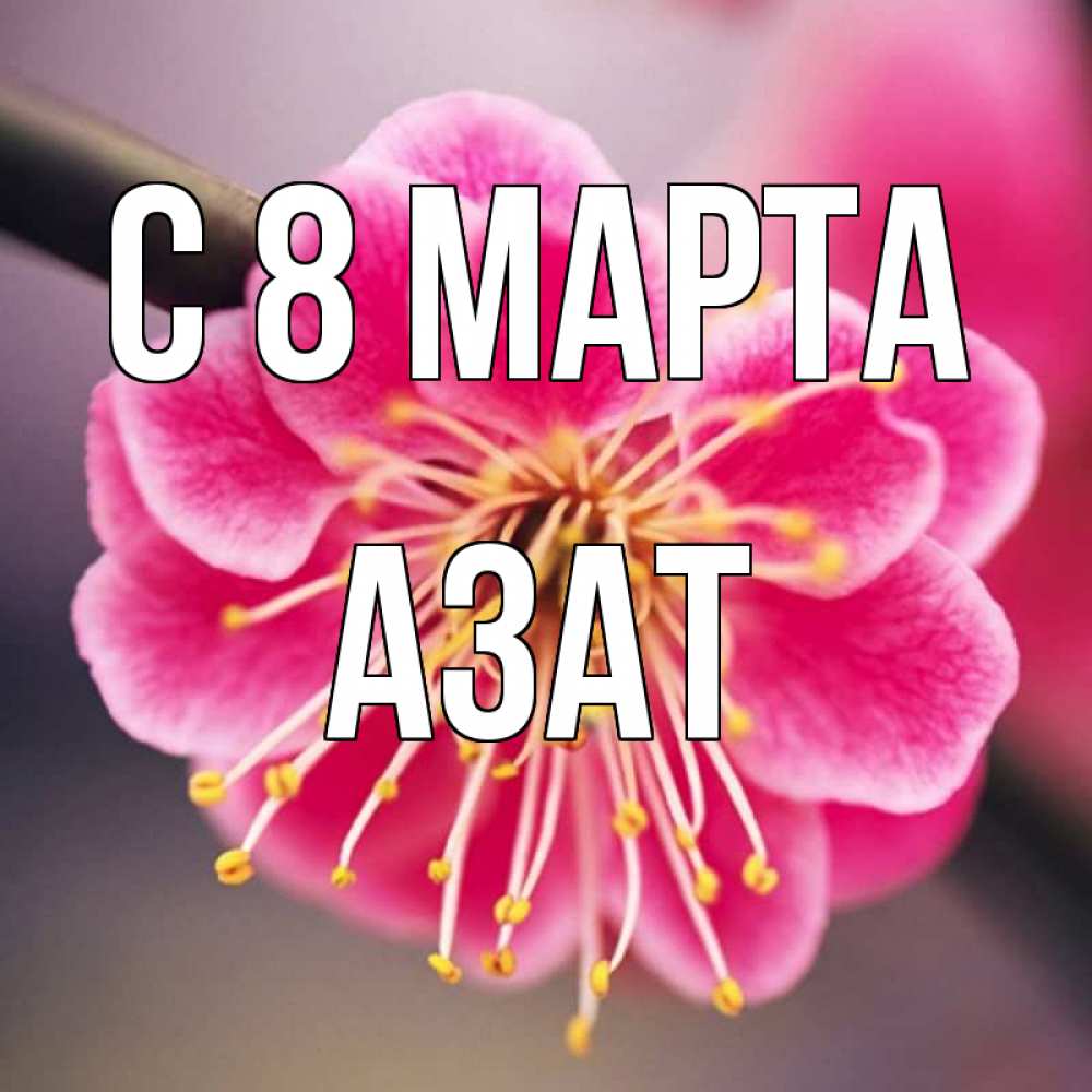 Открытка на каждый день с именем, Азат С 8 МАРТА цветы Прикольная открытка с пожеланием онлайн скачать бесплатно 
