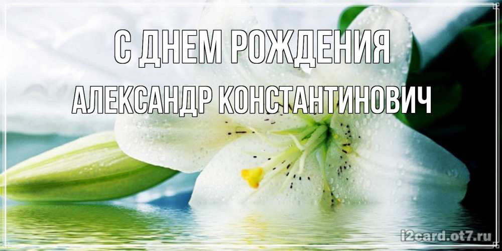 Открытка на каждый день с именем, Александр-Константинович С днем рождения лилия на открытке ко дню рождения Прикольная открытка с пожеланием онлайн скачать бесплатно 