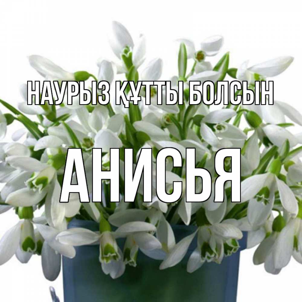 Открытка на каждый день с именем, Анисья Наурыз құтты болсын цветы к наурызу Прикольная открытка с пожеланием онлайн скачать бесплатно 