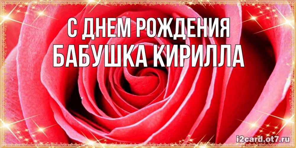 Открытка на каждый день с именем, Бабушка-Кирилла С днем рождения розовая роза очень крупный бутон Прикольная открытка с пожеланием онлайн скачать бесплатно 