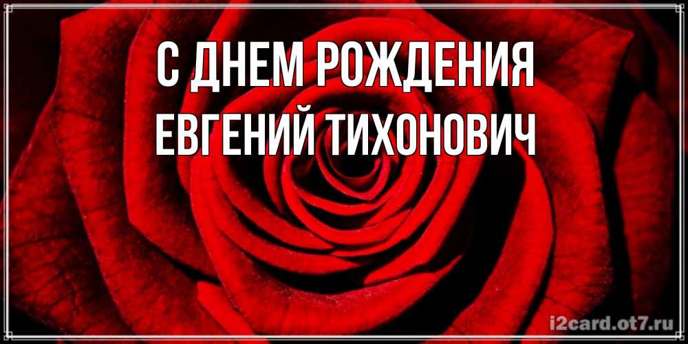 Открытка на каждый день с именем, Евгений-Тихонович С днем рождения алая роза Прикольная открытка с пожеланием онлайн скачать бесплатно 