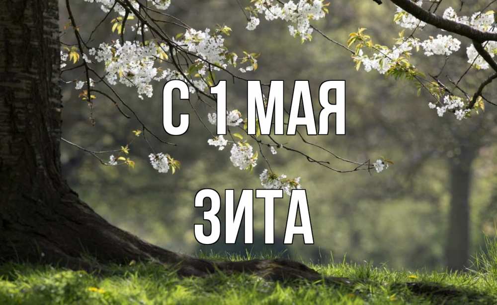 Открытка на каждый день с именем, Зита С 1 мая С 1 мая Прикольная открытка с пожеланием онлайн скачать бесплатно 
