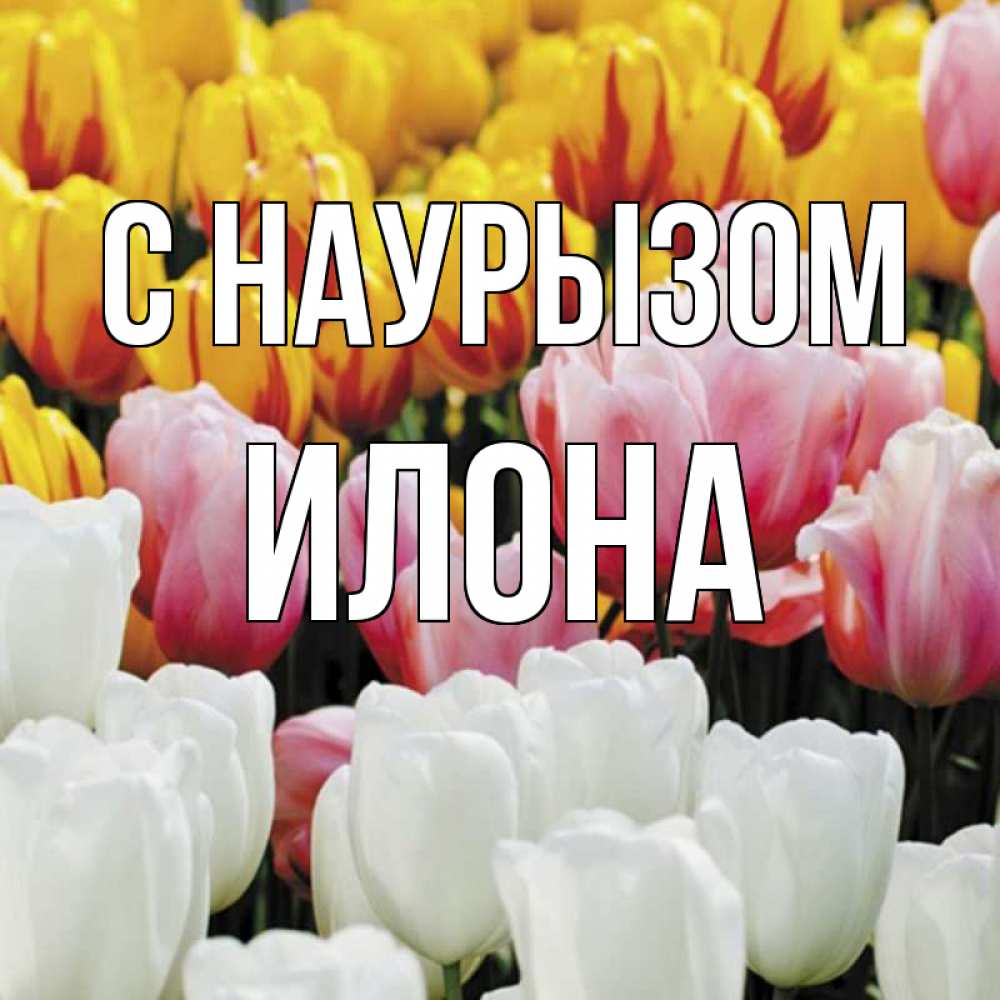 Открытка на каждый день с именем, Илона С наурызом разноцветные цветы Прикольная открытка с пожеланием онлайн скачать бесплатно 