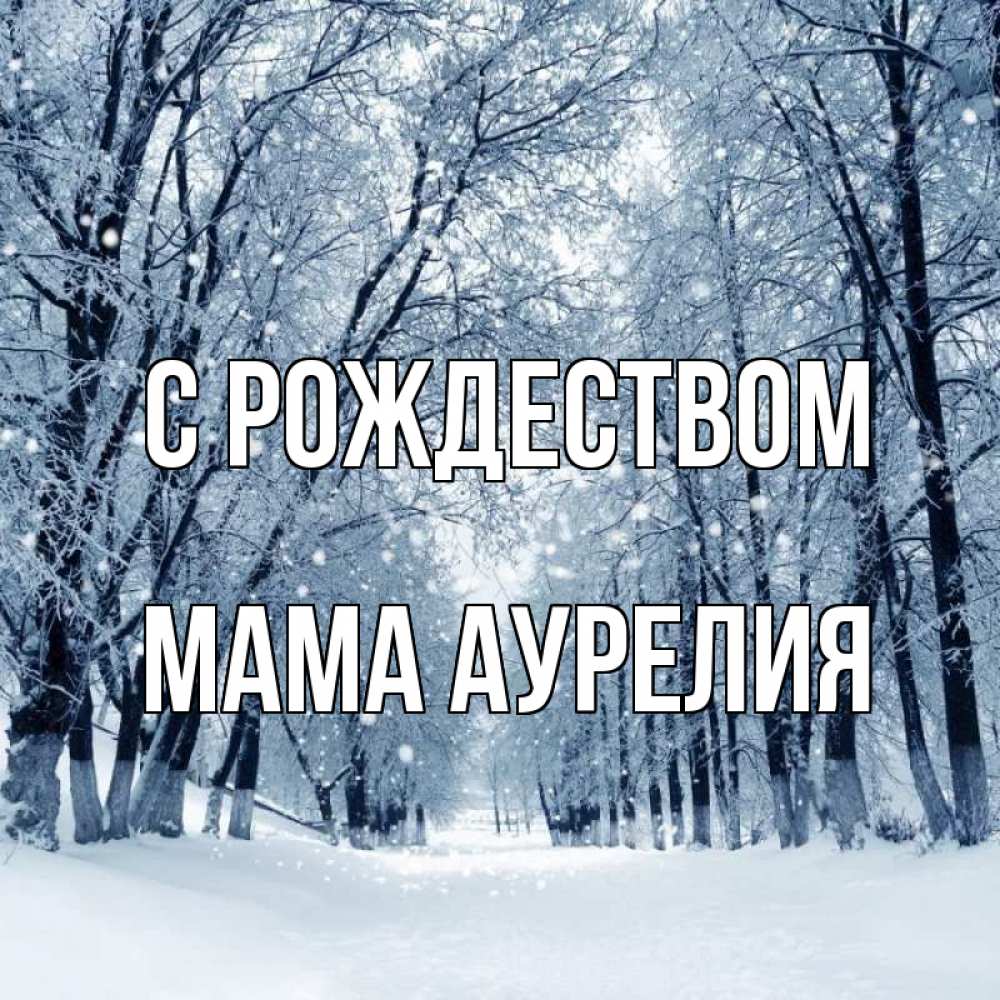 Открытка на каждый день с именем, Мама-Аурелия С рождеством снег, лес, парк Прикольная открытка с пожеланием онлайн скачать бесплатно 