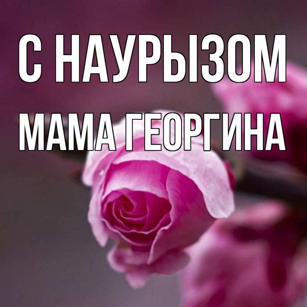 Открытка на каждый день с именем, Мама-Георгина С наурызом весна Прикольная открытка с пожеланием онлайн скачать бесплатно 
