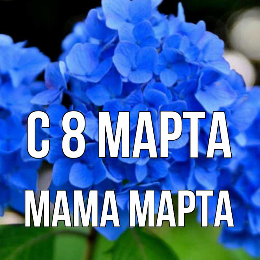 Открытка на каждый день с именем, Мама-Марта С 8 марта синие цветы Прикольная открытка с пожеланием онлайн скачать бесплатно 