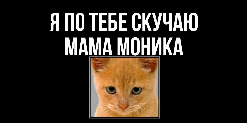 Открытка на каждый день с именем, Мама-Моника Я по тебе скучаю открытки рыжий котенок скучает по тебе Прикольная открытка с пожеланием онлайн скачать бесплатно 