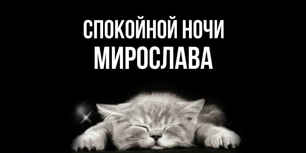 Открытка на каждый день с именем, Мирослава Спокойной ночи спящий котик Прикольная открытка с пожеланием онлайн скачать бесплатно 