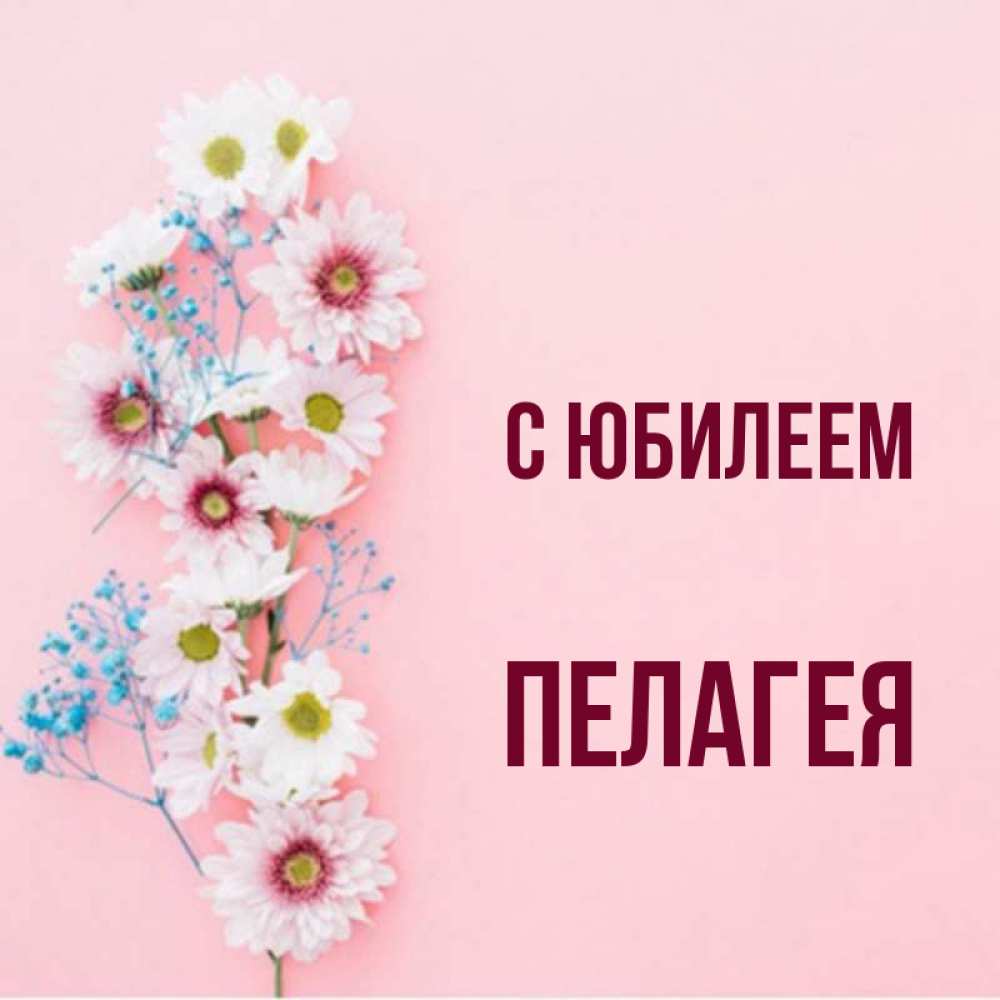 Открытка на каждый день с именем, Пелагея С юбилеем Родная моя с днем рождения тебя картинка с цветами белыми и голубыми Прикольная открытка с пожеланием онлайн скачать бесплатно 