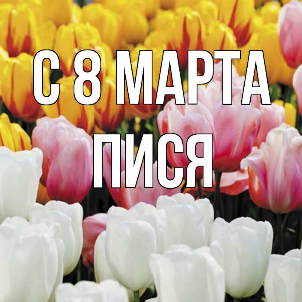 Открытка на каждый день с именем, Пися С 8 марта разноцветные цветы Прикольная открытка с пожеланием онлайн скачать бесплатно 
