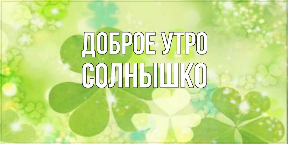 Открытка на каждый день с именем, СОЛНЫШКО Доброе утро открытка с листьями летними зелеными Прикольная открытка с пожеланием онлайн скачать бесплатно 