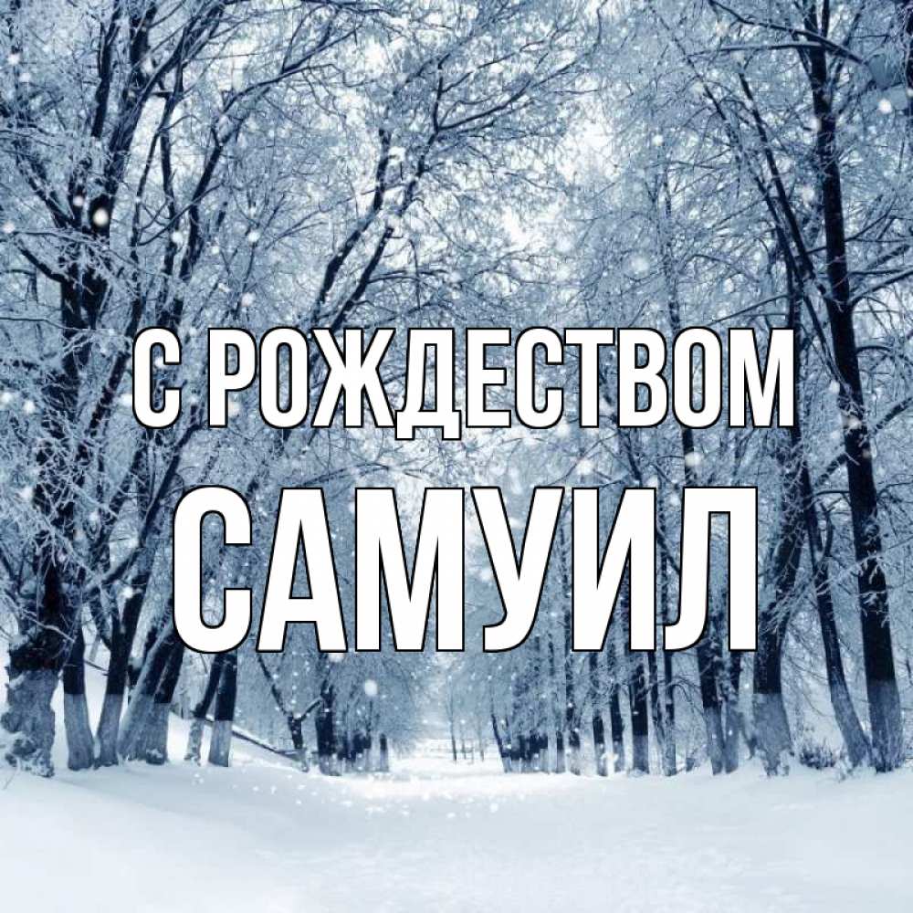 Открытка на каждый день с именем, Самуил С рождеством снег, лес, парк Прикольная открытка с пожеланием онлайн скачать бесплатно 