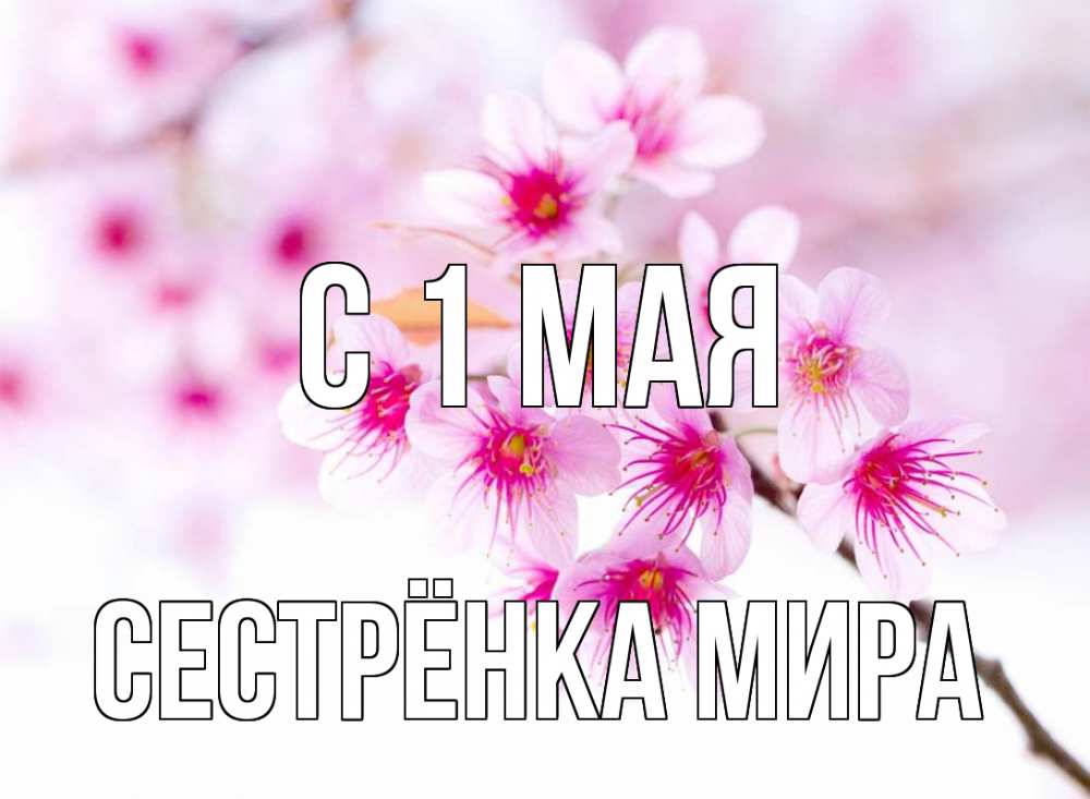 Открытка на каждый день с именем, Сестрёнка-Мира С 1 мая С 1 мая 2 Прикольная открытка с пожеланием онлайн скачать бесплатно 
