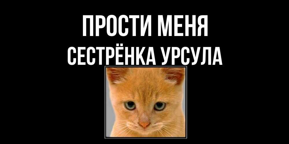 Открытка на каждый день с именем, Сестрёнка-Урсула Прости меня рыжий грустный кот просит прощения Прикольная открытка с пожеланием онлайн скачать бесплатно 