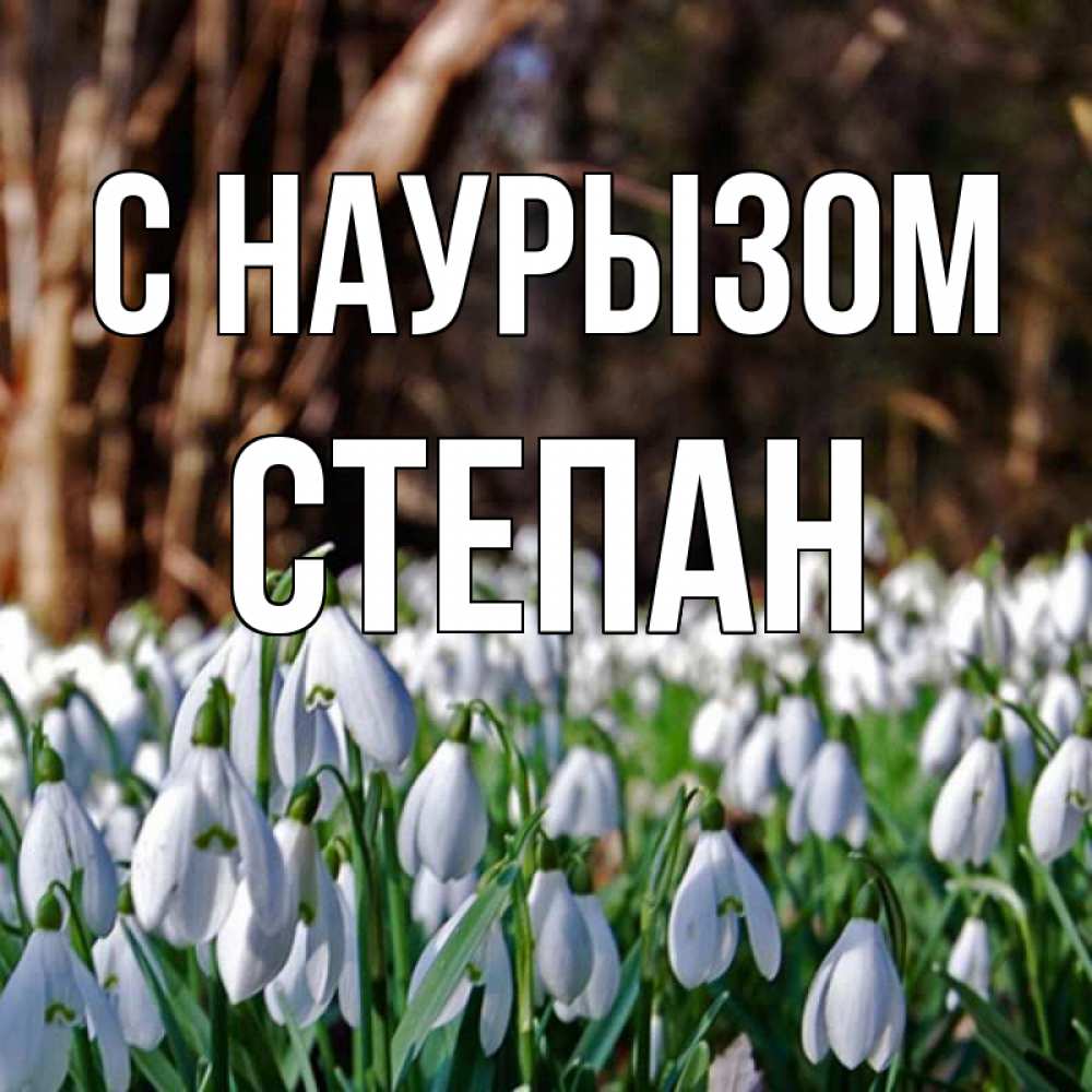 Открытка на каждый день с именем, Степан С наурызом с подснежниками 1 Прикольная открытка с пожеланием онлайн скачать бесплатно 