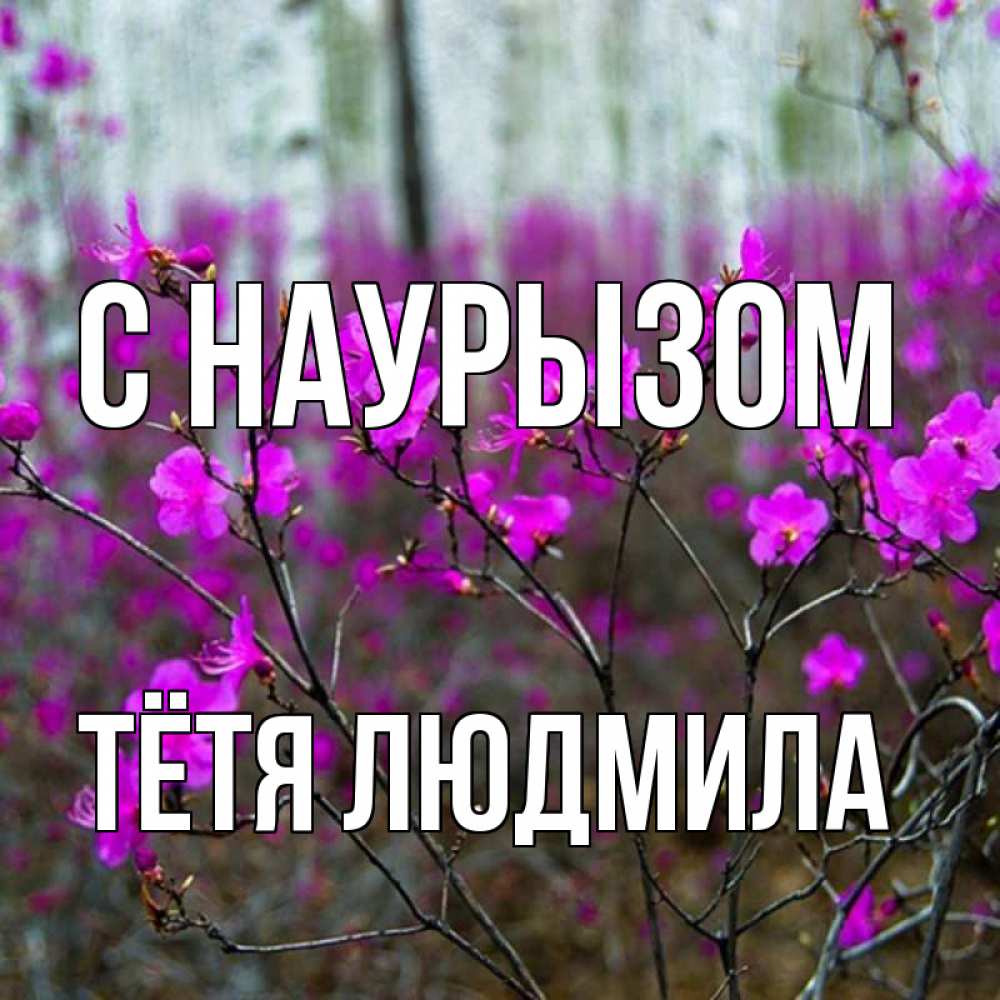 Открытка на каждый день с именем, Тётя-Людмила С наурызом дикие цветы Прикольная открытка с пожеланием онлайн скачать бесплатно 