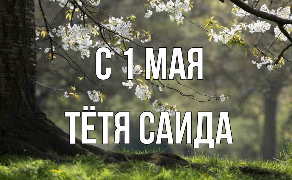 Открытка на каждый день с именем, Тётя-Саида С 1 мая С 1 мая Прикольная открытка с пожеланием онлайн скачать бесплатно 