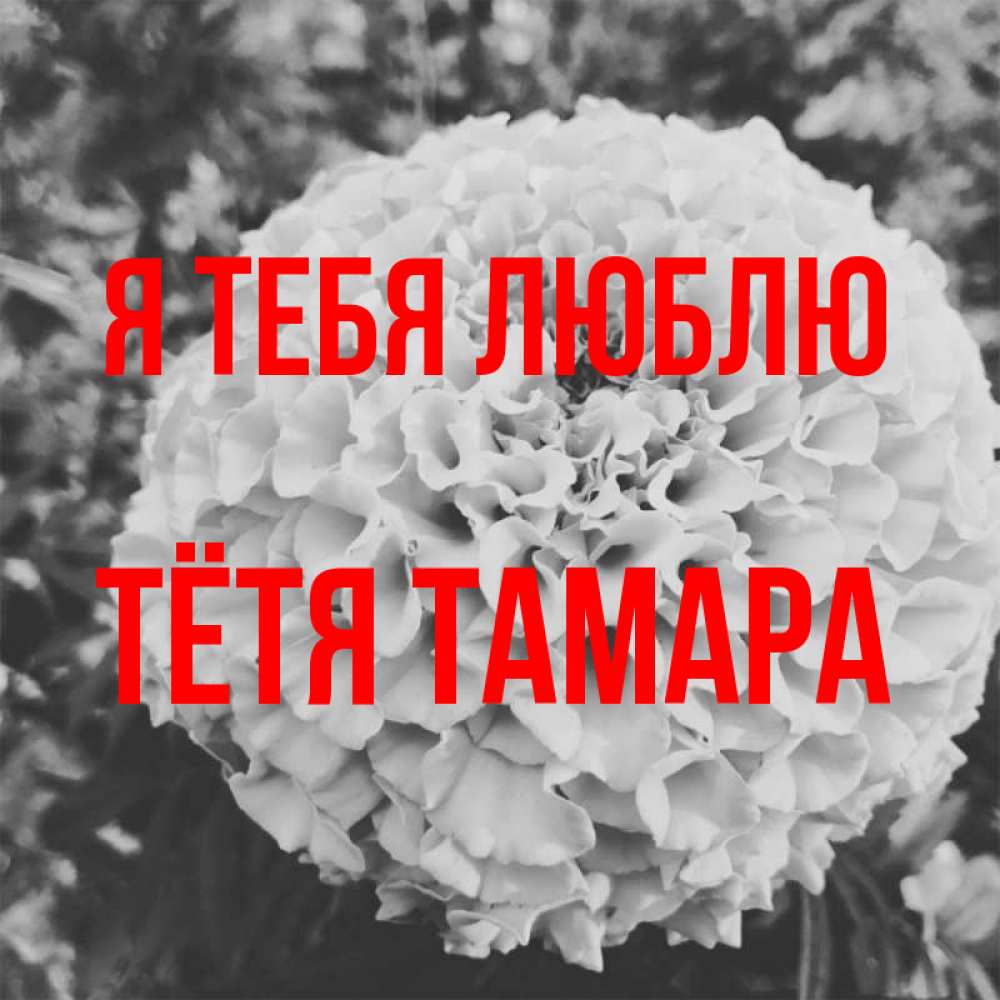 Открытка на каждый день с именем, Тётя-Тамара Я тебя люблю подпись Прикольная открытка с пожеланием онлайн скачать бесплатно 