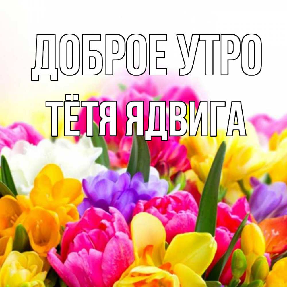 Открытка на каждый день с именем, Тётя-Ядвига Доброе утро создать открытку со свое подписью Прикольная открытка с пожеланием онлайн скачать бесплатно 