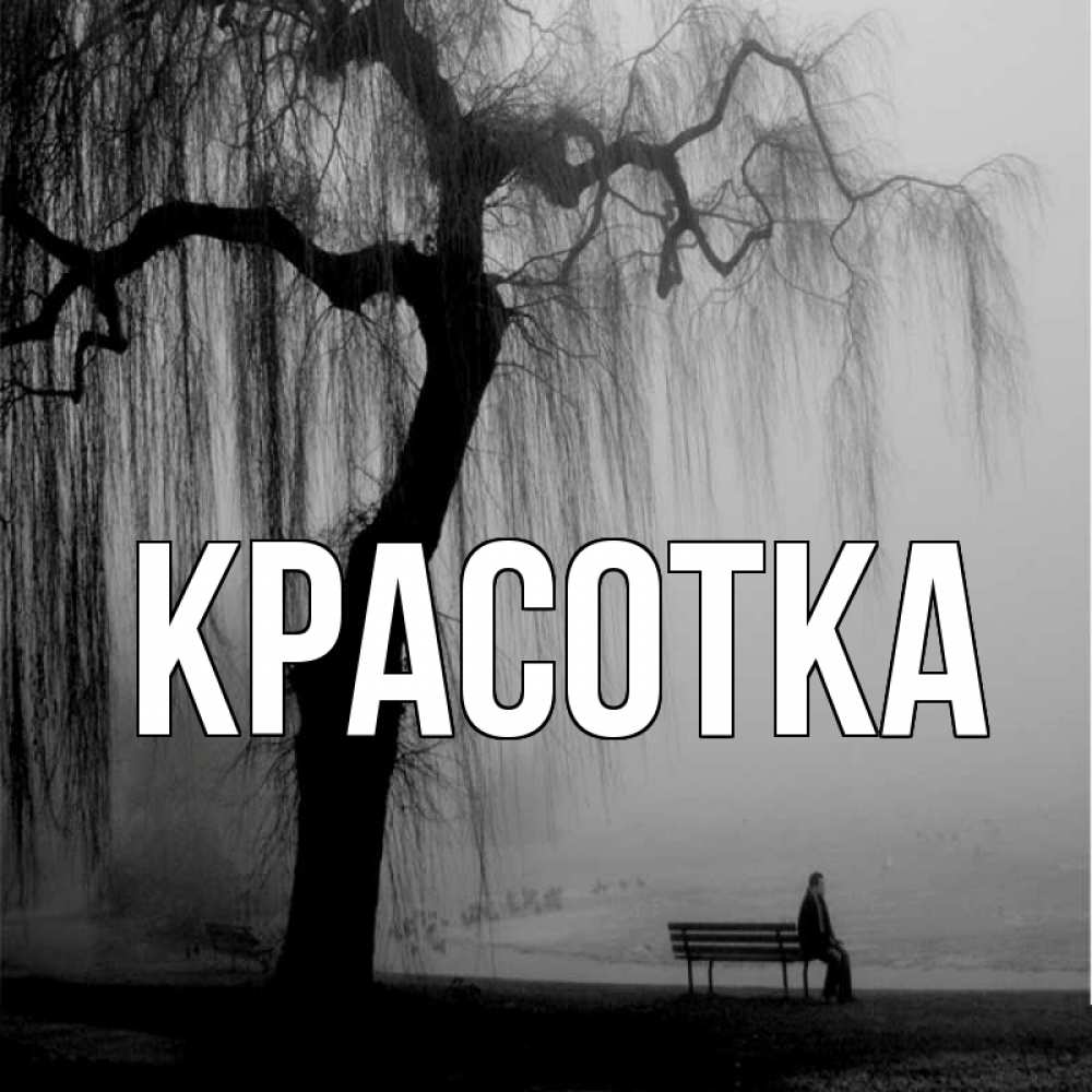 Открытка на каждый день с именем, красотка Главная висящие ветки дерева и лавочка под деревом Прикольная открытка с пожеланием онлайн скачать бесплатно 