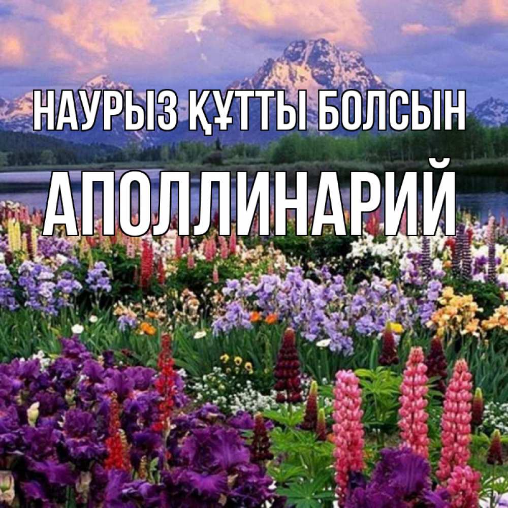 Открытка на каждый день с именем, Аполлинарий Наурыз құтты болсын наурыз Прикольная открытка с пожеланием онлайн скачать бесплатно 