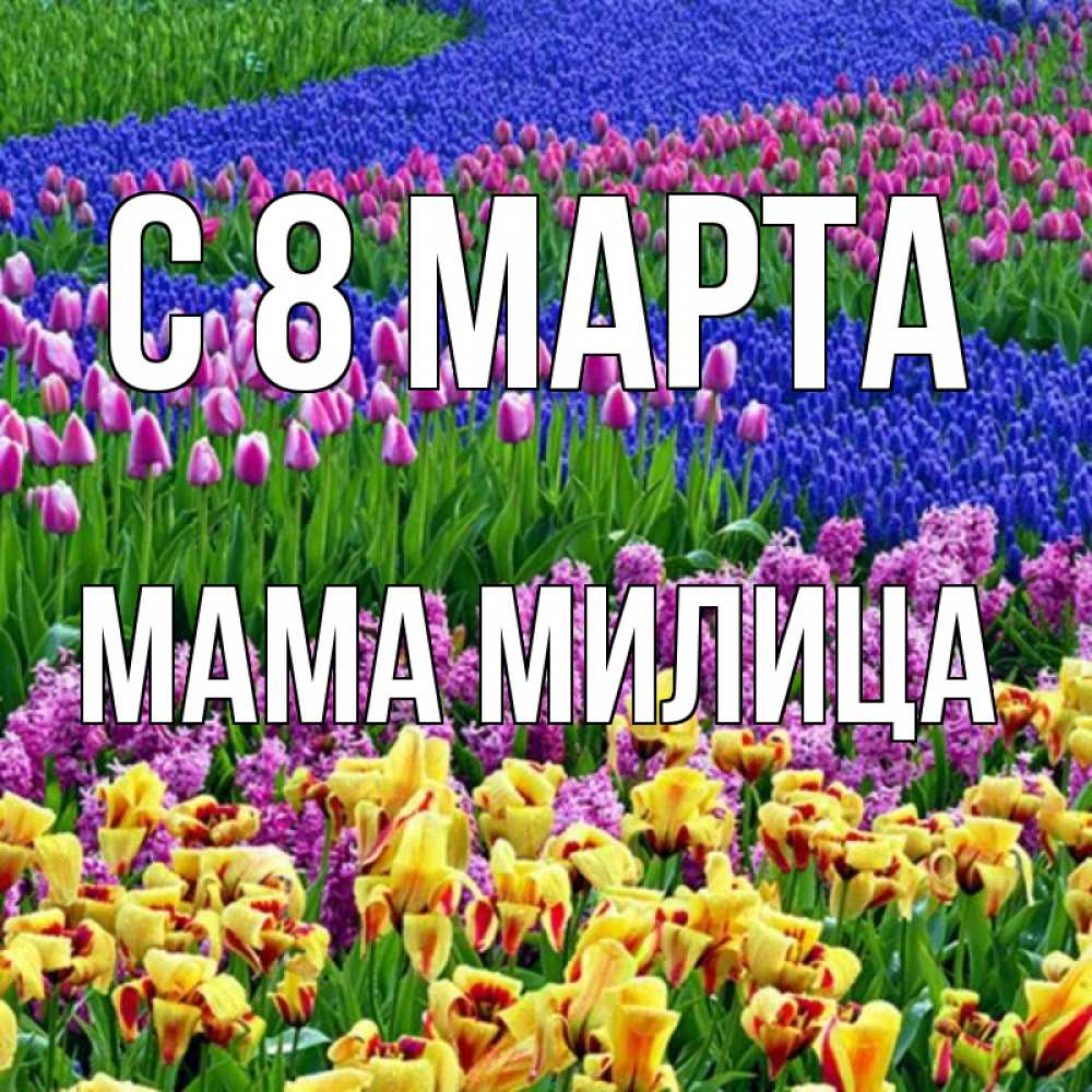 Открытка на каждый день с именем, Мама-Милица С 8 марта цветы Прикольная открытка с пожеланием онлайн скачать бесплатно 