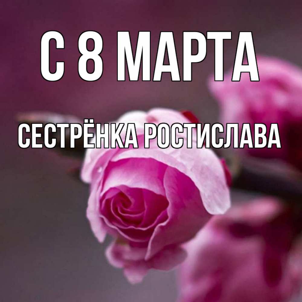 Открытка на каждый день с именем, Сестрёнка-Ростислава С 8 марта весна Прикольная открытка с пожеланием онлайн скачать бесплатно 