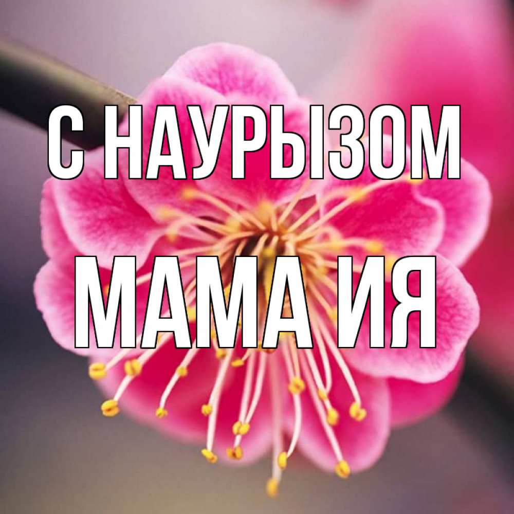 Открытка на каждый день с именем, Мама-Ия С наурызом цветы Прикольная открытка с пожеланием онлайн скачать бесплатно 
