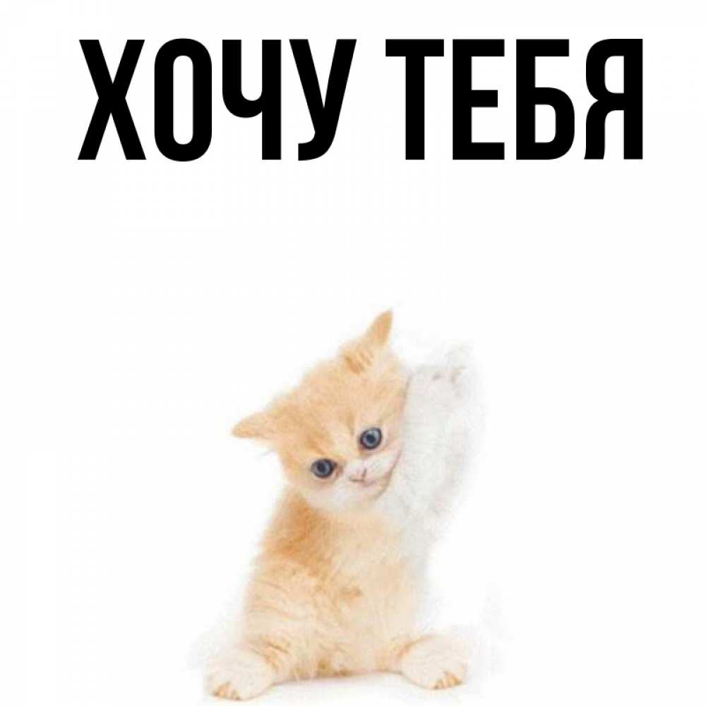 Открытка на каждый день с именем, Хочу-тебя Главная я хочу очень скорее обнимаешек Прикольная открытка с пожеланием онлайн скачать бесплатно 