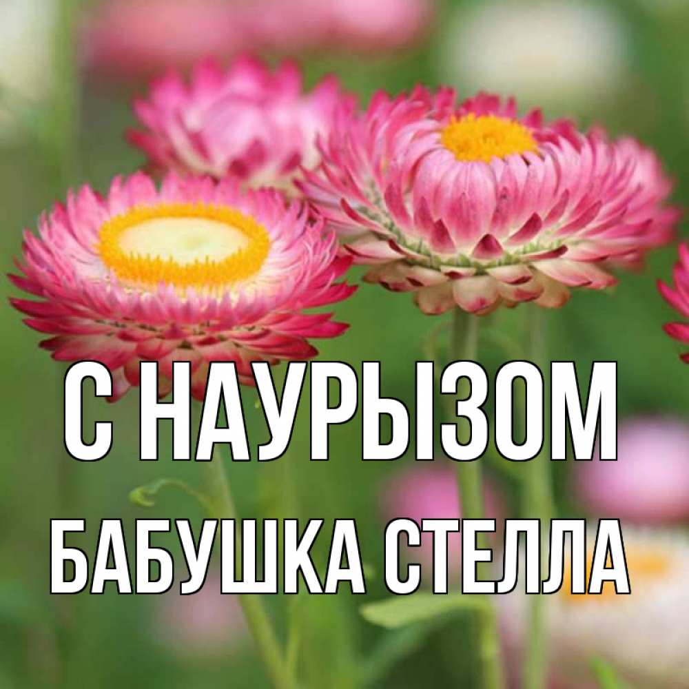 Открытка на каждый день с именем, Бабушка-Стелла С наурызом подарок на международный женский день Прикольная открытка с пожеланием онлайн скачать бесплатно 