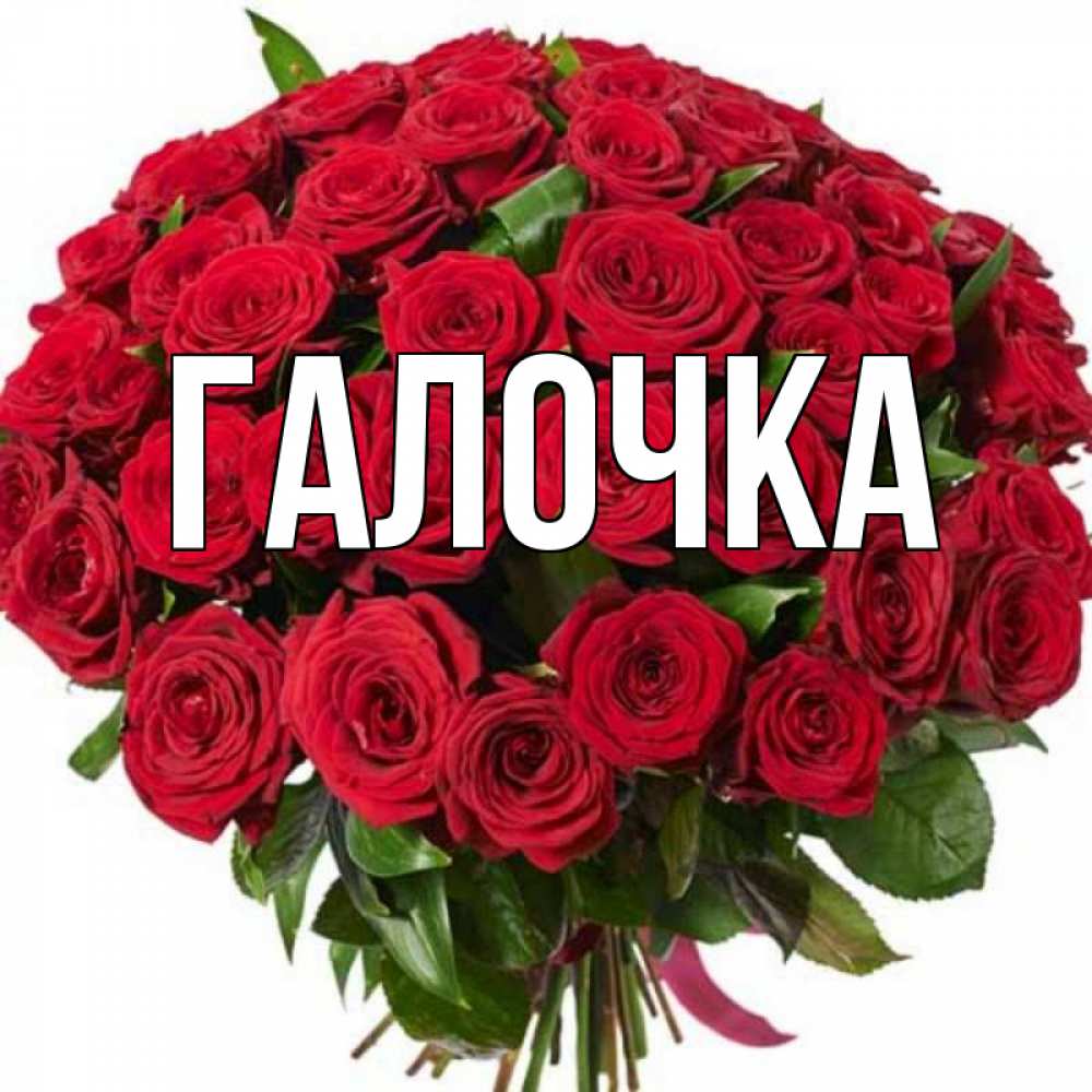Открытка на каждый день с именем, Галочка Главная букет красных роз Прикольная открытка с пожеланием онлайн скачать бесплатно 