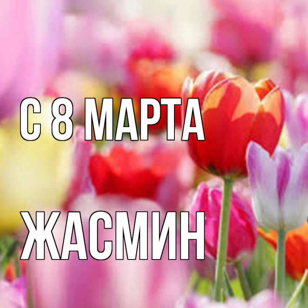 Открытка на каждый день с именем, Жасмин С 8 марта на международный женский день 2 Прикольная открытка с пожеланием онлайн скачать бесплатно 